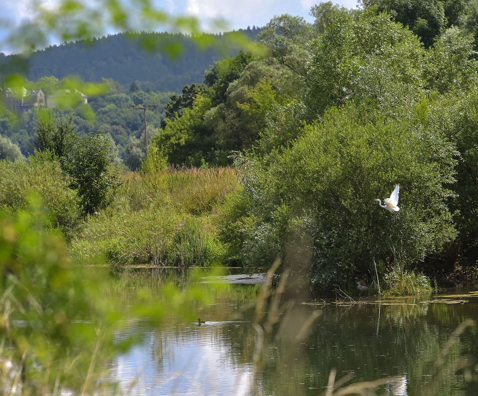 STARKENBERGER-GRUPPE